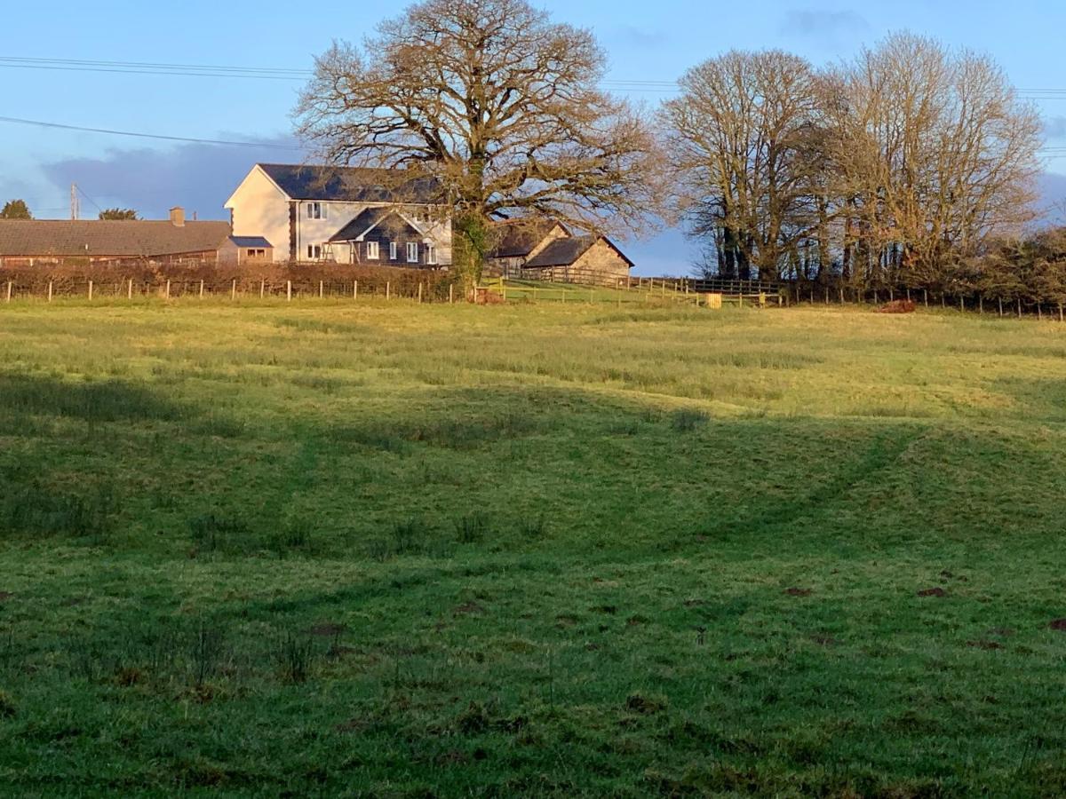 Llanyre Maen Llwyd 빌라 외부 사진